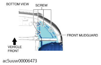 G11428775