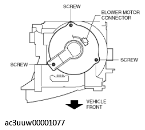 G11431294