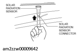 G11431389