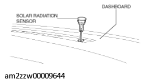 G11431391