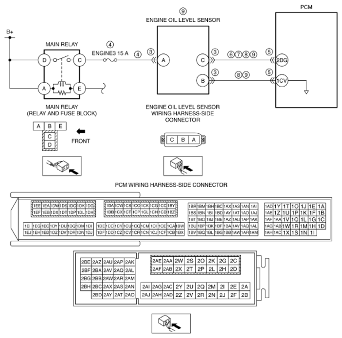 G11433313