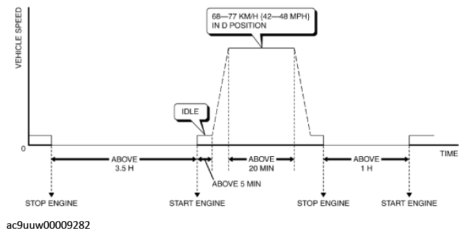 G11433336