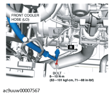 G11433582