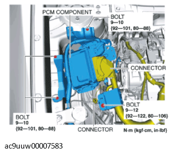 G11433611