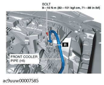 G11433613