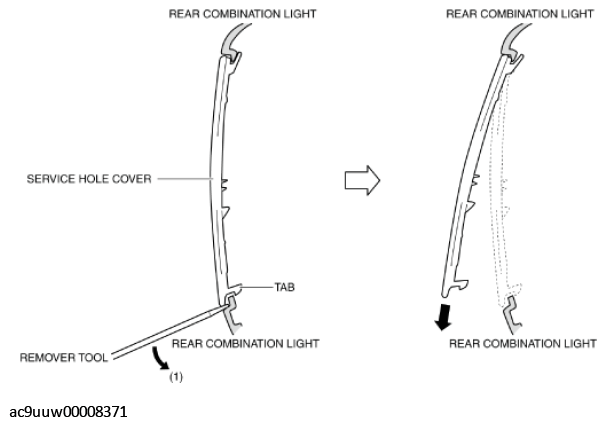 G11435209