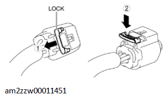 G11436094