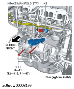 G11436119