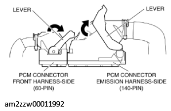 G11436167