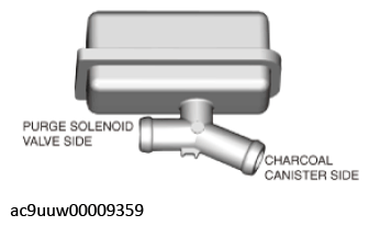 G11436218