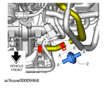 G11436239