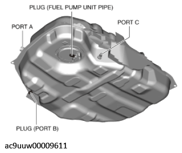 G11436368