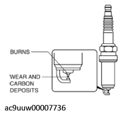 G11436408
