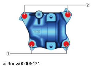 G11436481