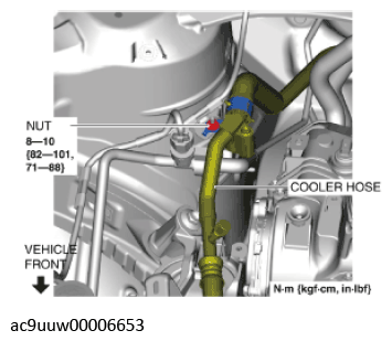G11436599