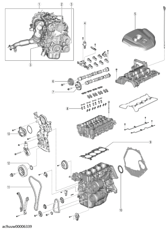 G11436613