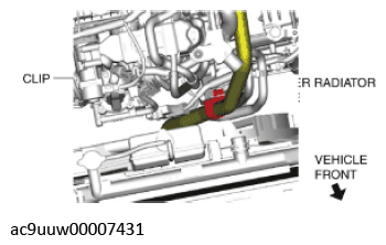 G11436675