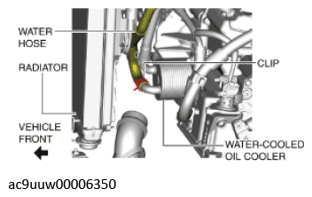 G11436678