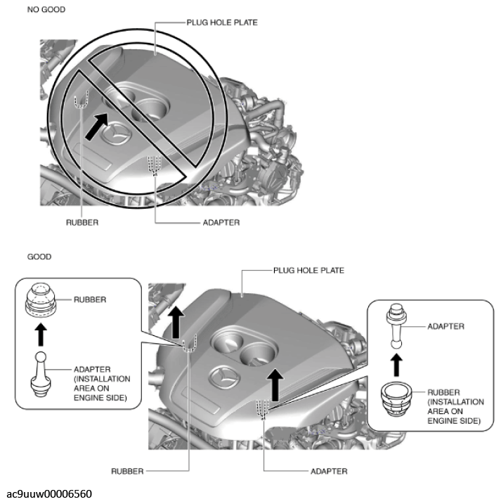 G11436773