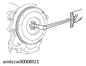 G11437519