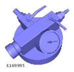 G11446931