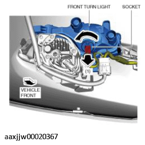 G11449517