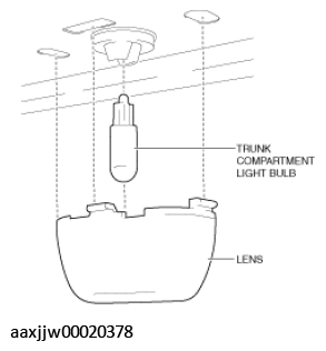 G11449619