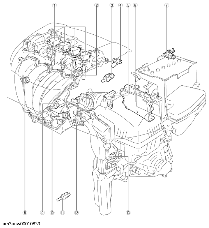 G11450584