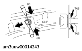 G11539231