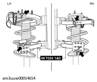 G11539569