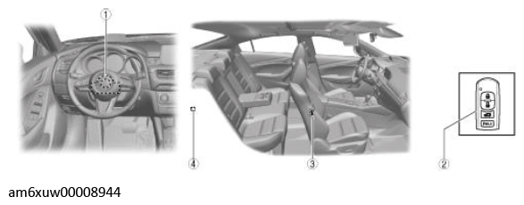 G11543858