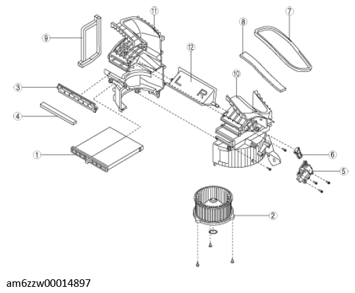 G11545506