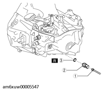 G11555238