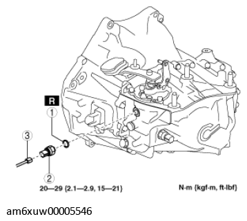 G11555282