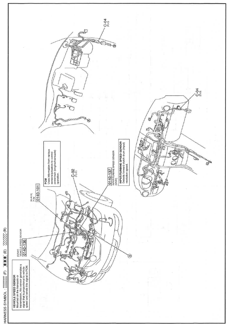 G11559178