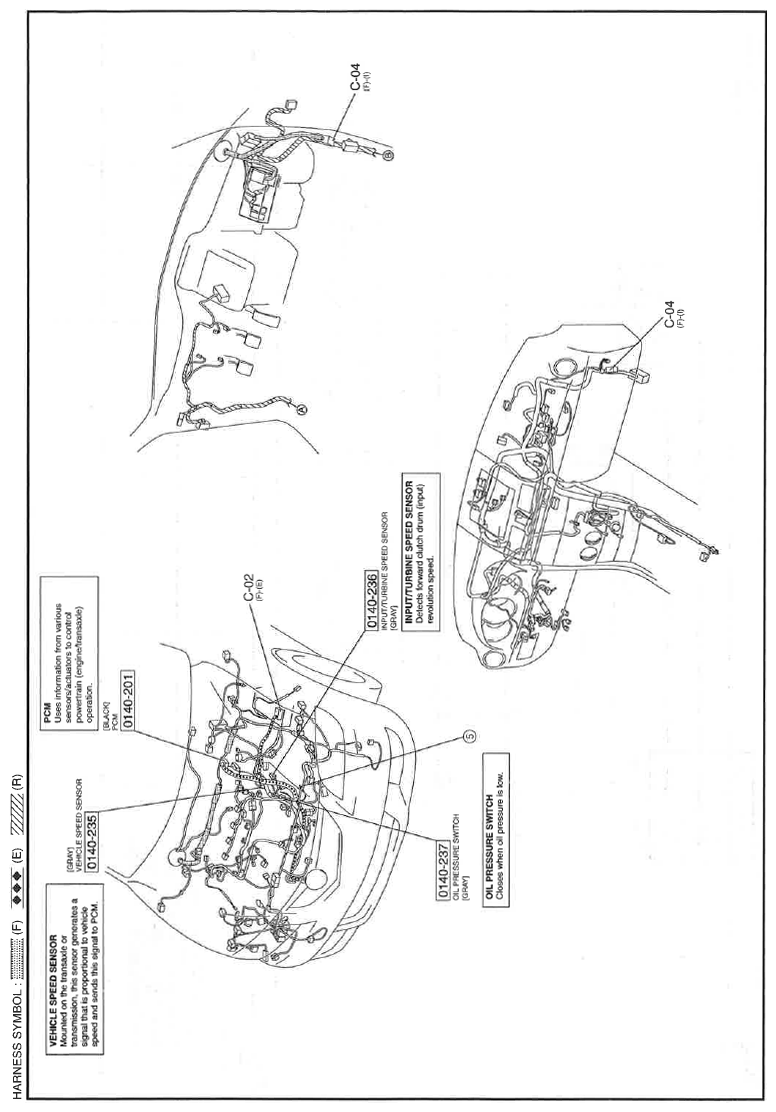 G11559194