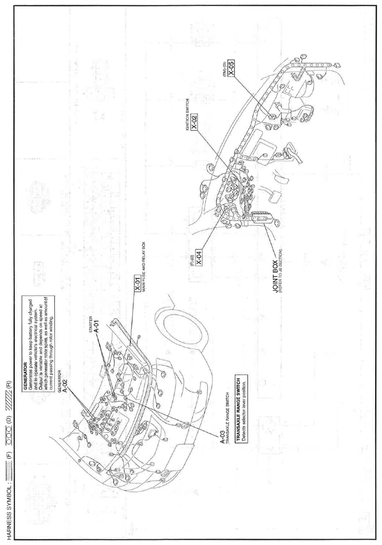 G11559857