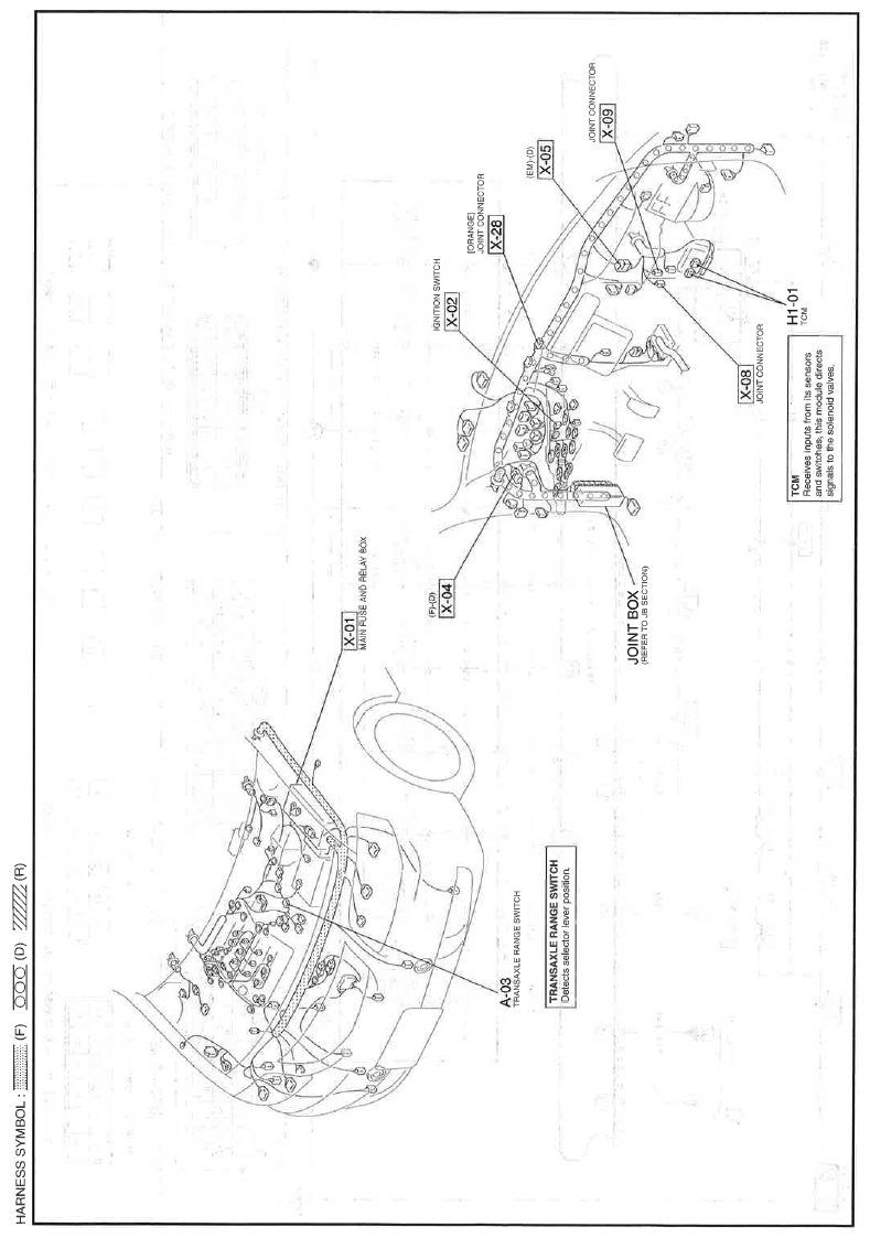 G11559925