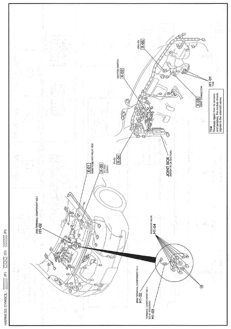 G11559927