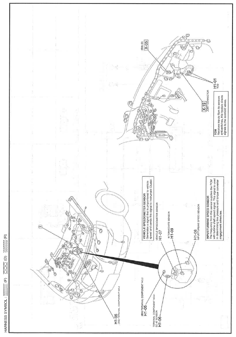G11559929