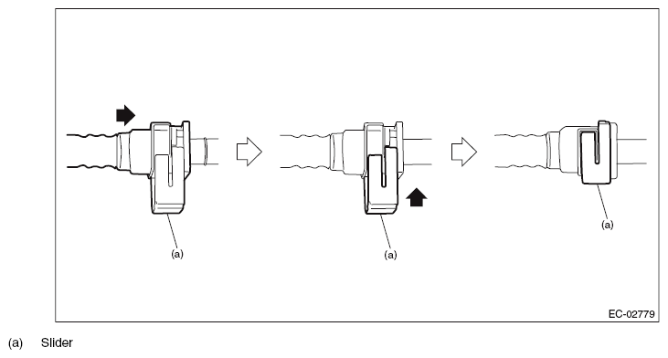 G11566062