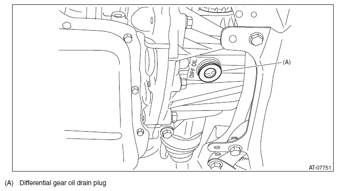 G11577591