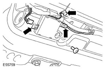 G11599288