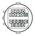 G11631307