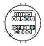 G11631315