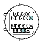 G11631319