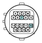 G11631323