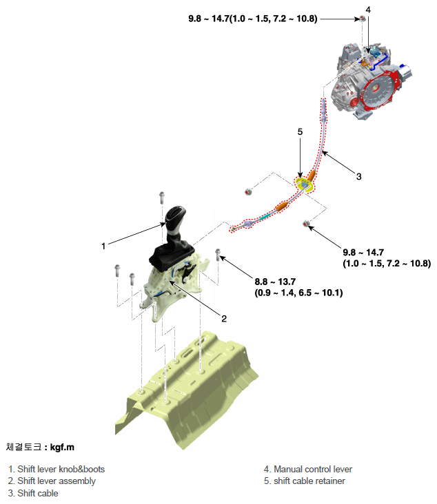 G11631381
