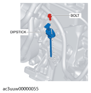 G11637618