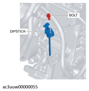 G11637620